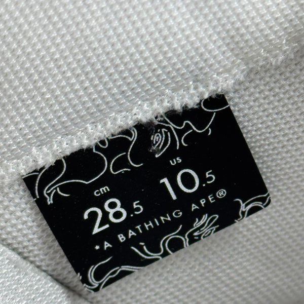 [10.5] Bape Double Bapestas