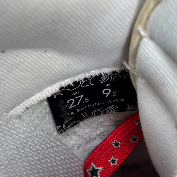 [9.5] Bape Maroon & Grey Bapestas