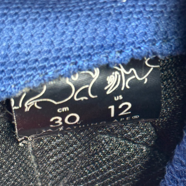 [12] Bape Blue Shark Sole Bapestas